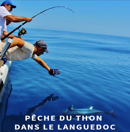 Guide de pêche en mer thon languedoc